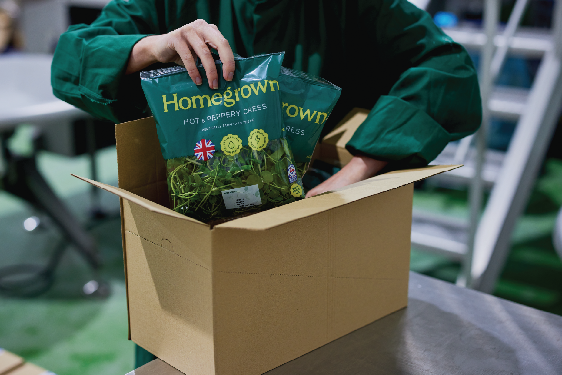 MBA - Vertical Farm Lydney - Projects 3