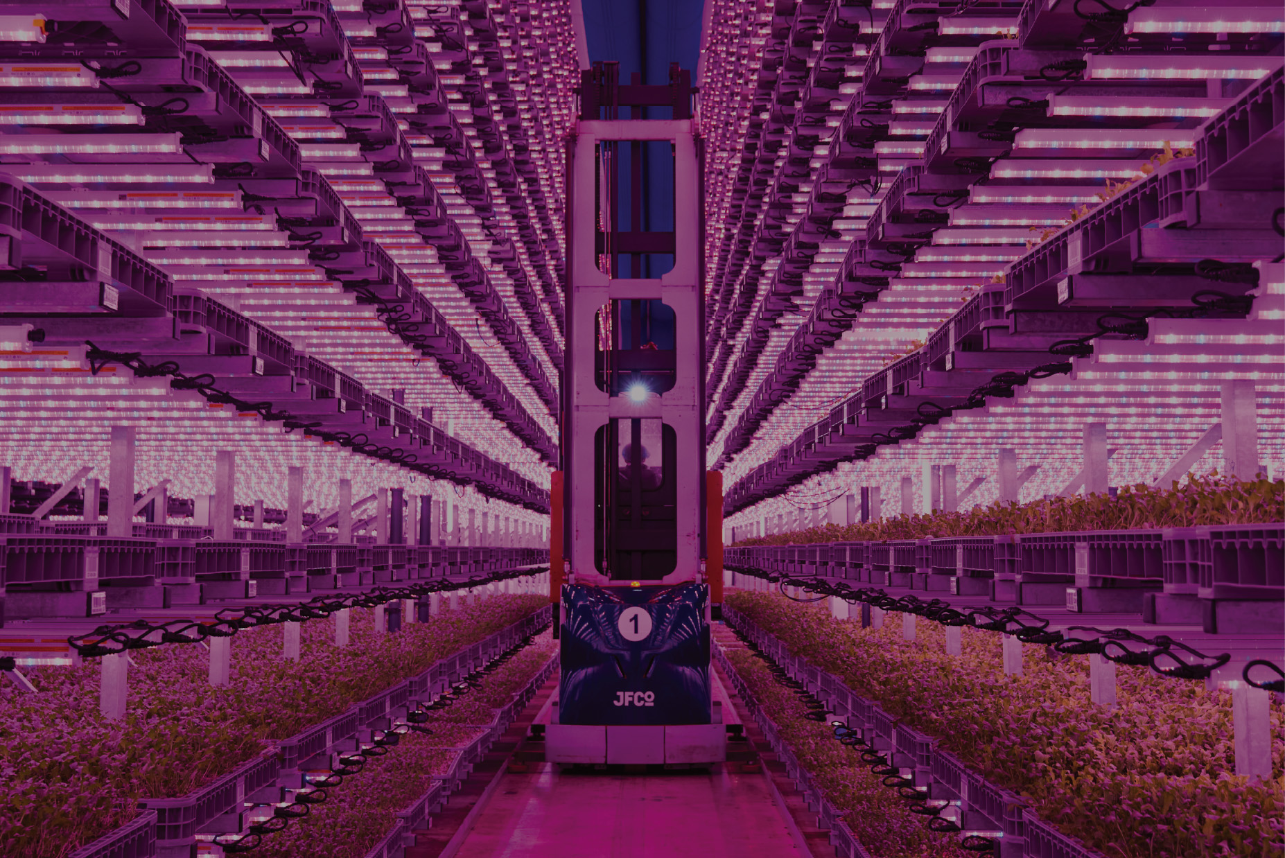 MBA - Vertical Farm - Edited